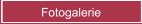 Fotogalerie